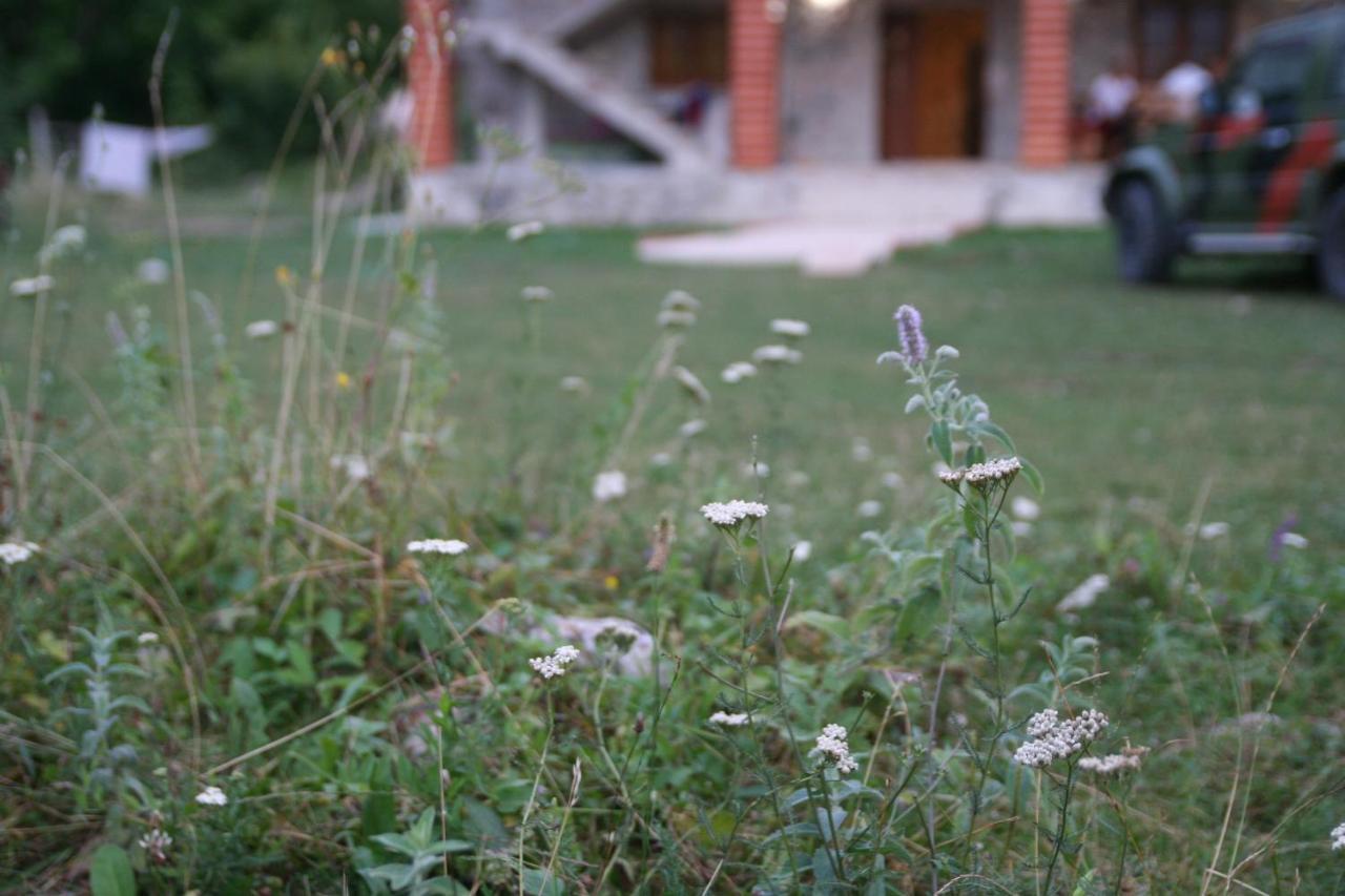 Bujtina Dreni Hotel Theth Bagian luar foto