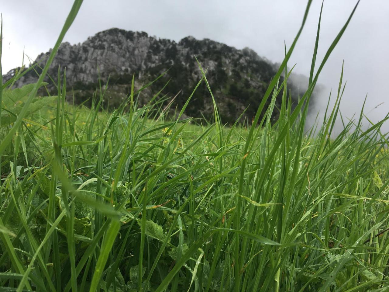 Bujtina Dreni Hotel Theth Bagian luar foto