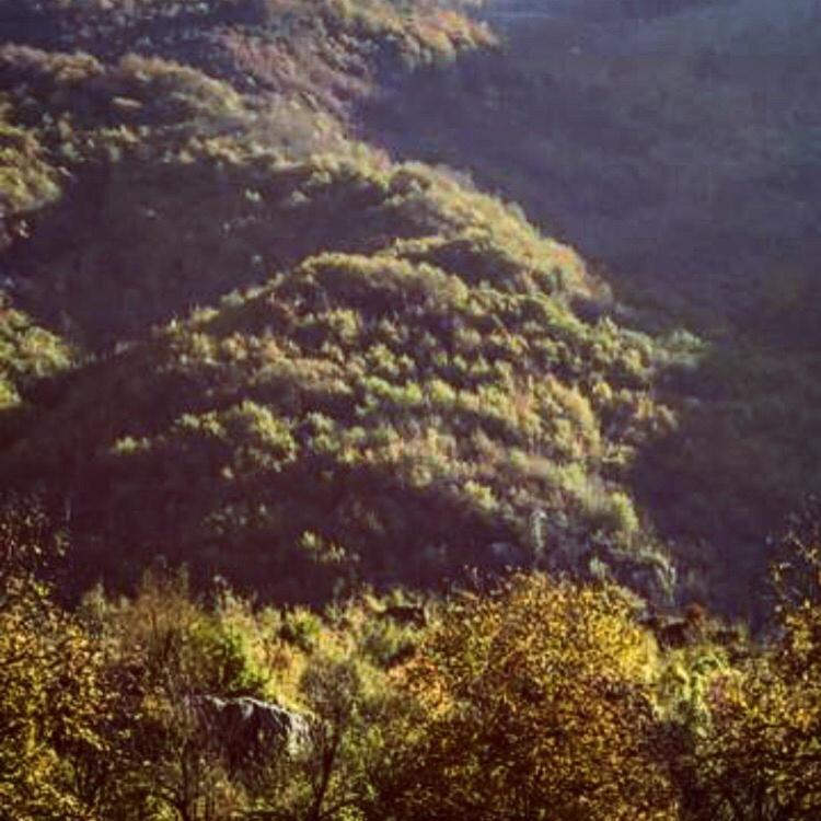 Bujtina Dreni Hotel Theth Bagian luar foto